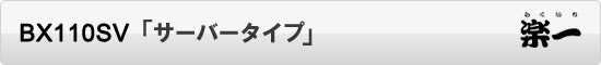 BX110SVはサーバータイプ